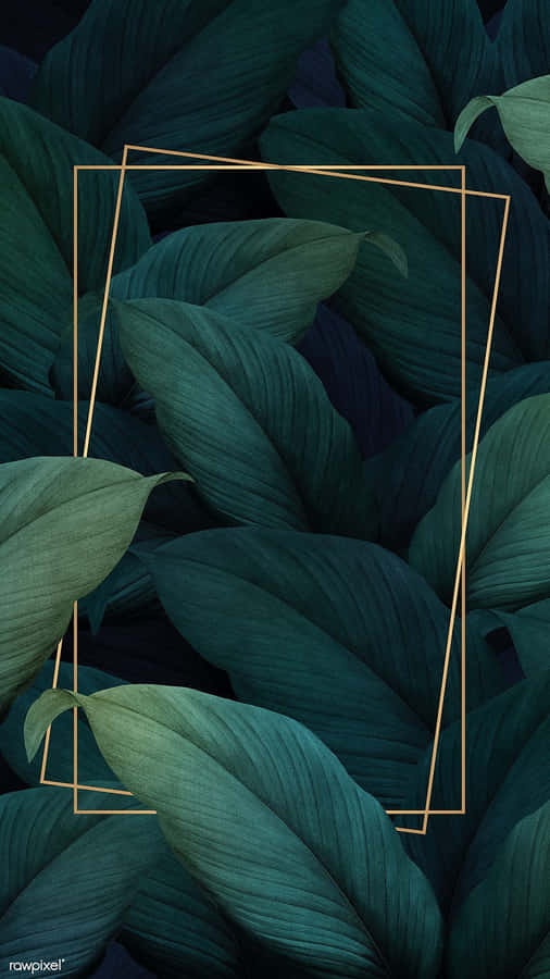 Tropical Oasis Of Aesthetic Palm Leaves Wallpaper