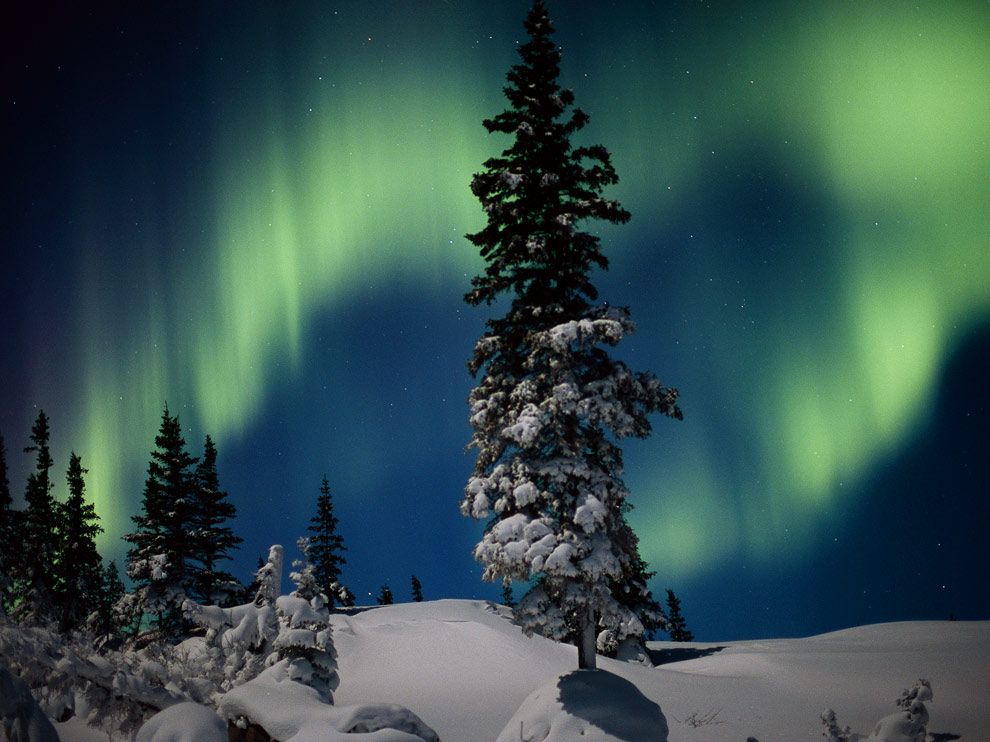The Aurora Borealis Over Wapusk National Park In Manitoba Canada