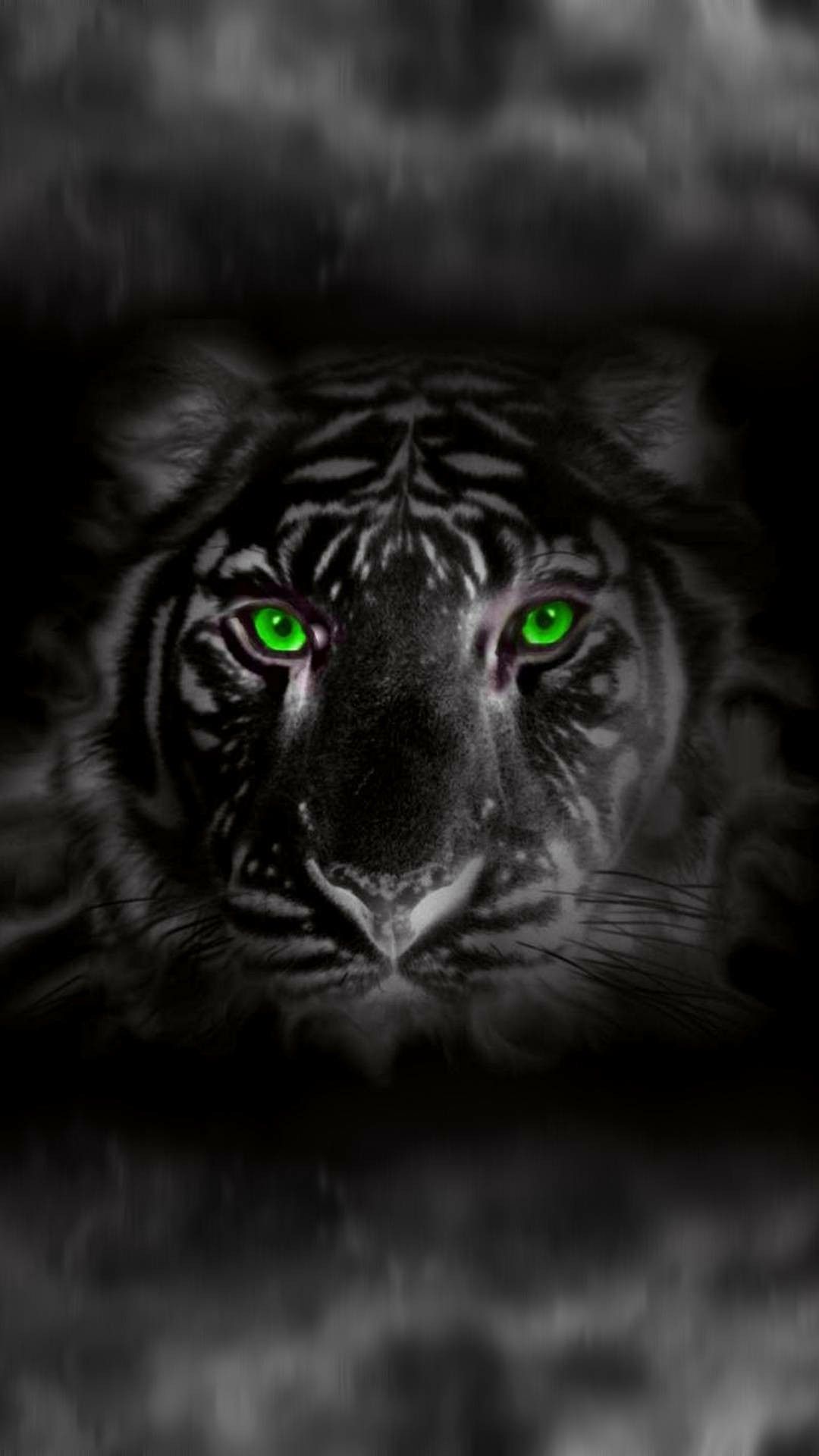 White Tiger With Green Eyes Big Cats Black Tigers Animals
