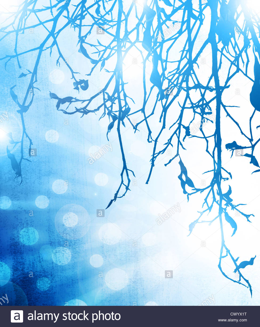 Picture Of Blue Abstract Winter Background Frozen Tree Branch And