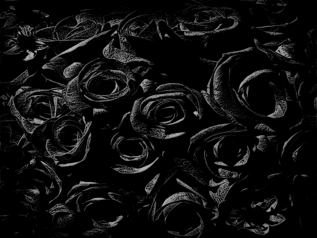Pretty Black Wallpaper HD