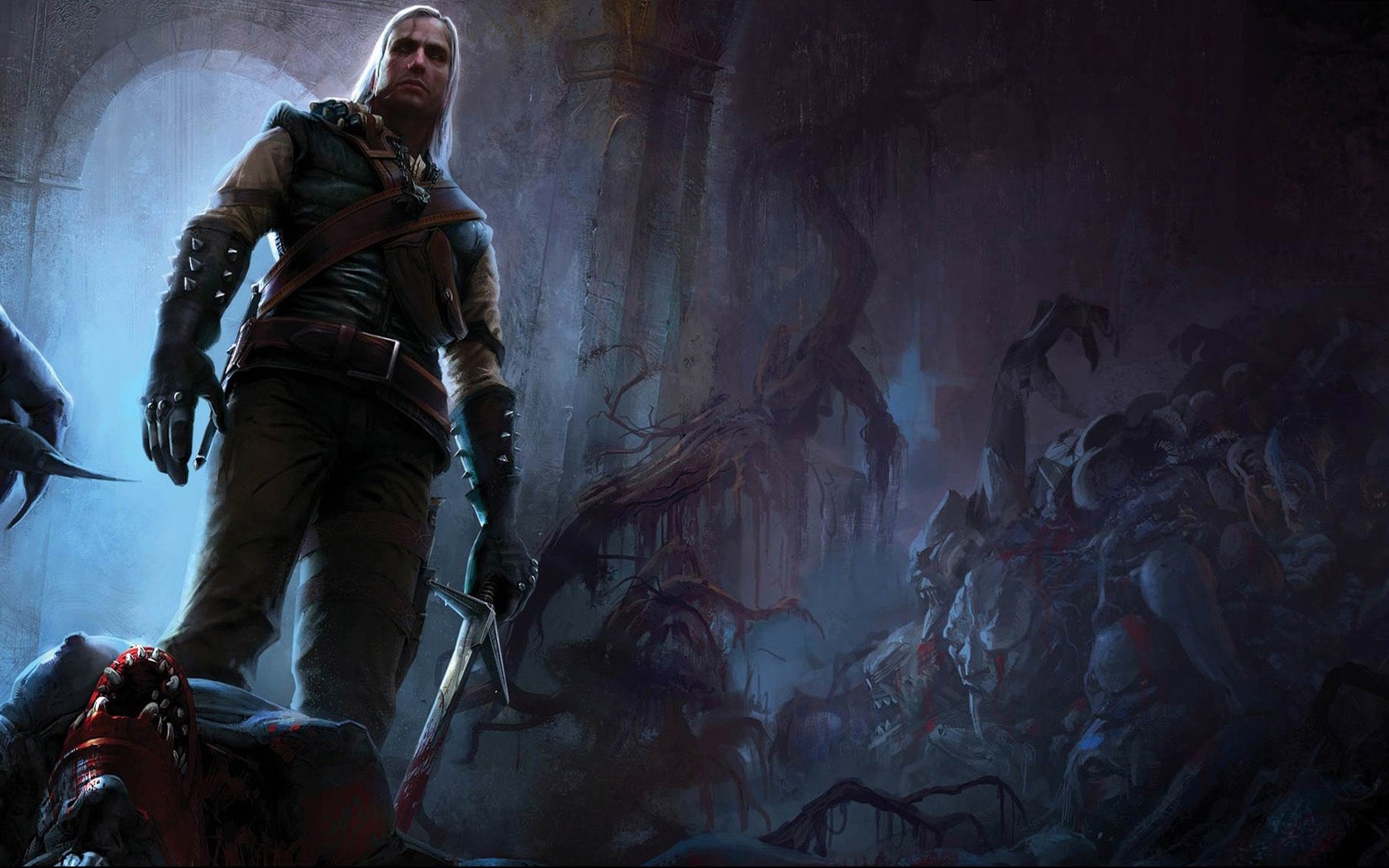 Download The Witcher wallpaper 1680x1050