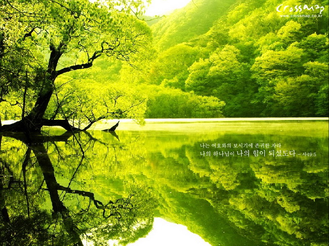 Pictures Super Image Superb Green Color Using Natural Wallpaper