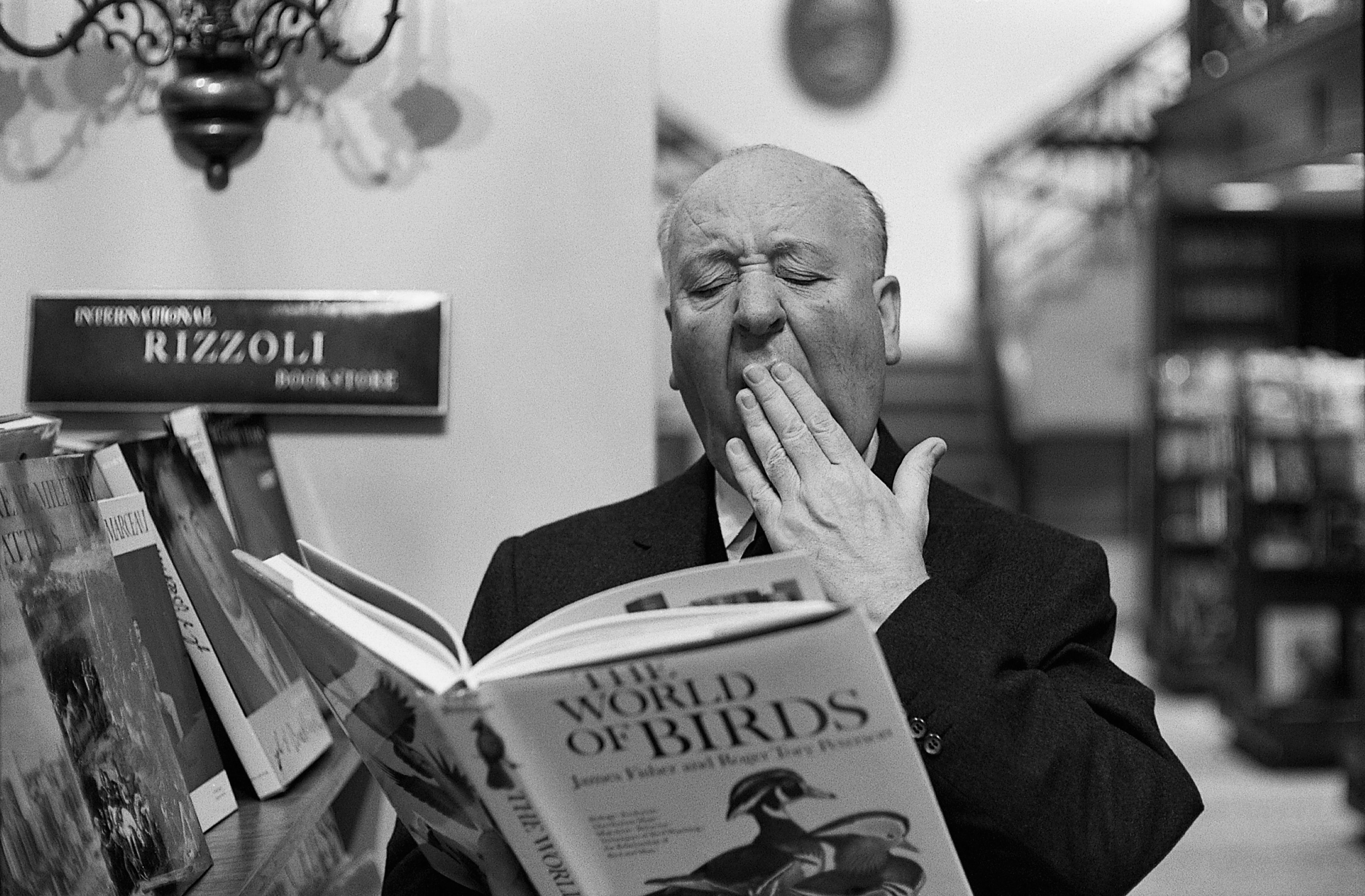 Celebrity Alfred Hitchcock Wallpaper