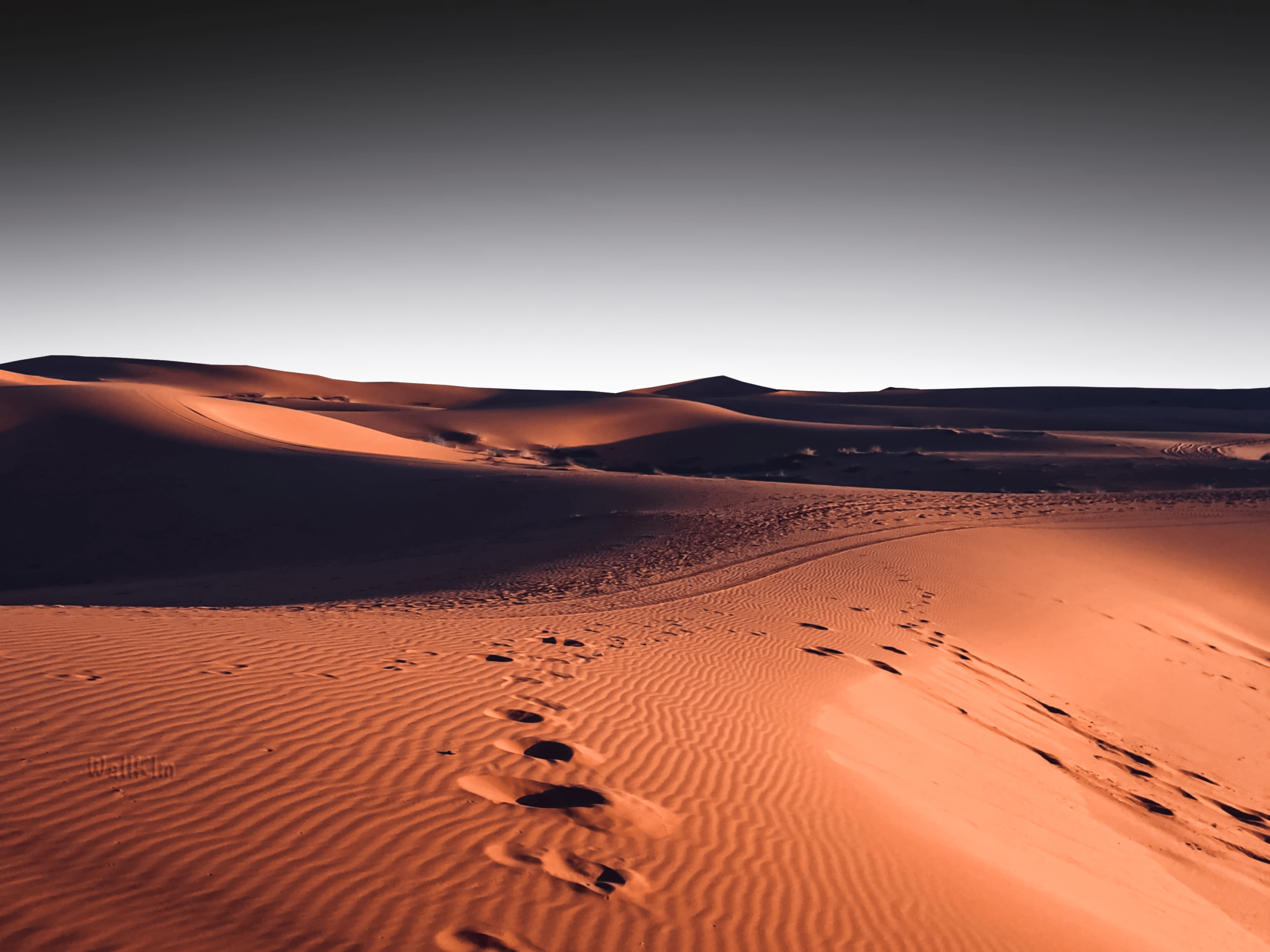 Desert Aesthetic Wallpaper