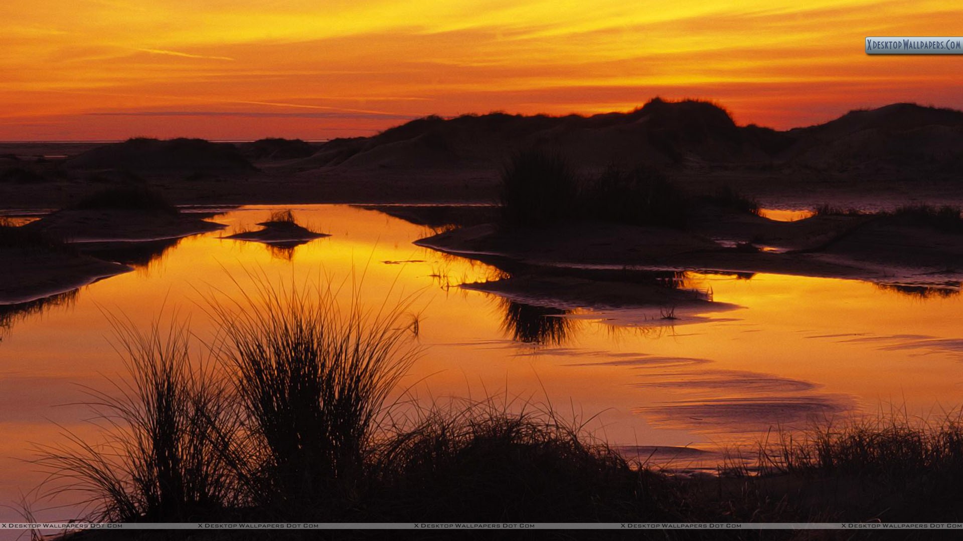 Wetland And Sand Dunes At Sunset Wallpaper