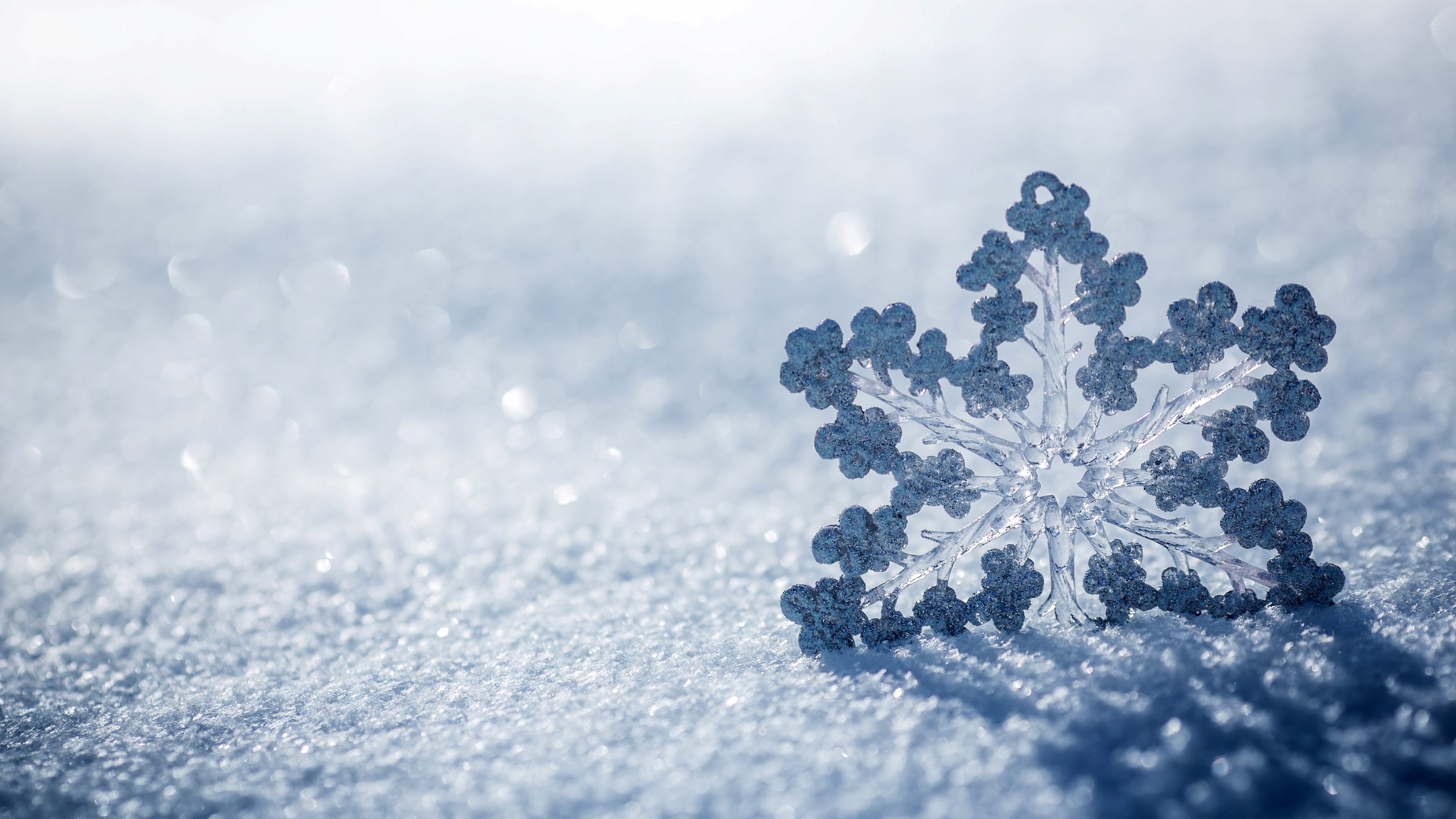 Ice Snowflake Macro HD Wallpaper
