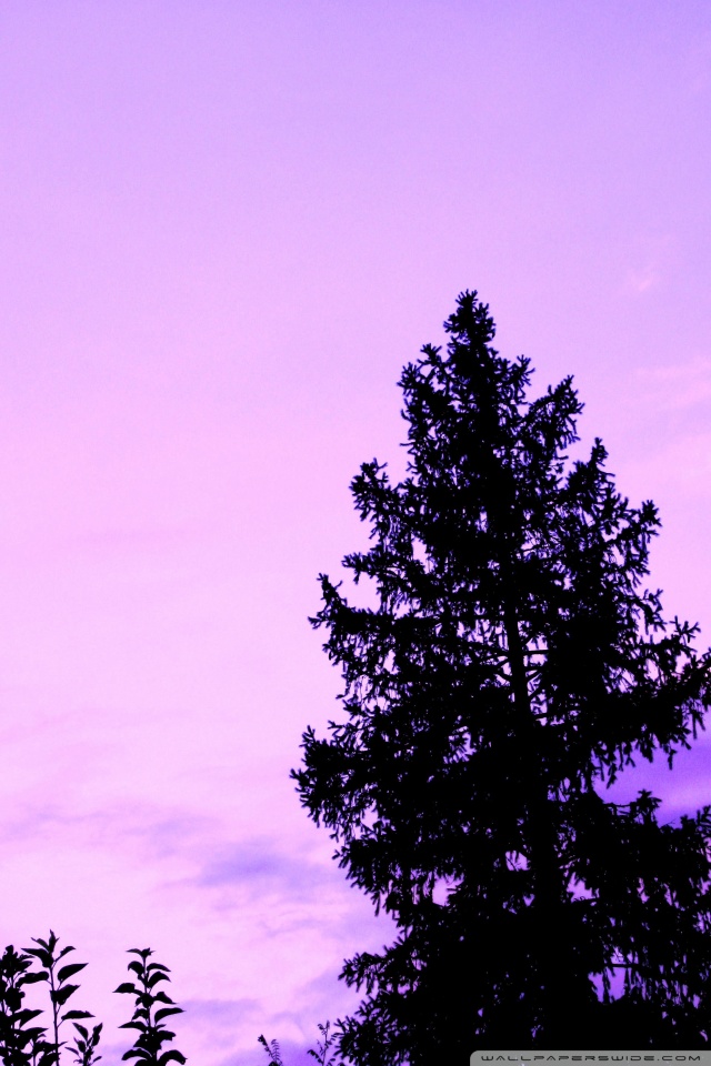 Purple Blackish Tree HD Desktop Wallpaper Mobile iPhone