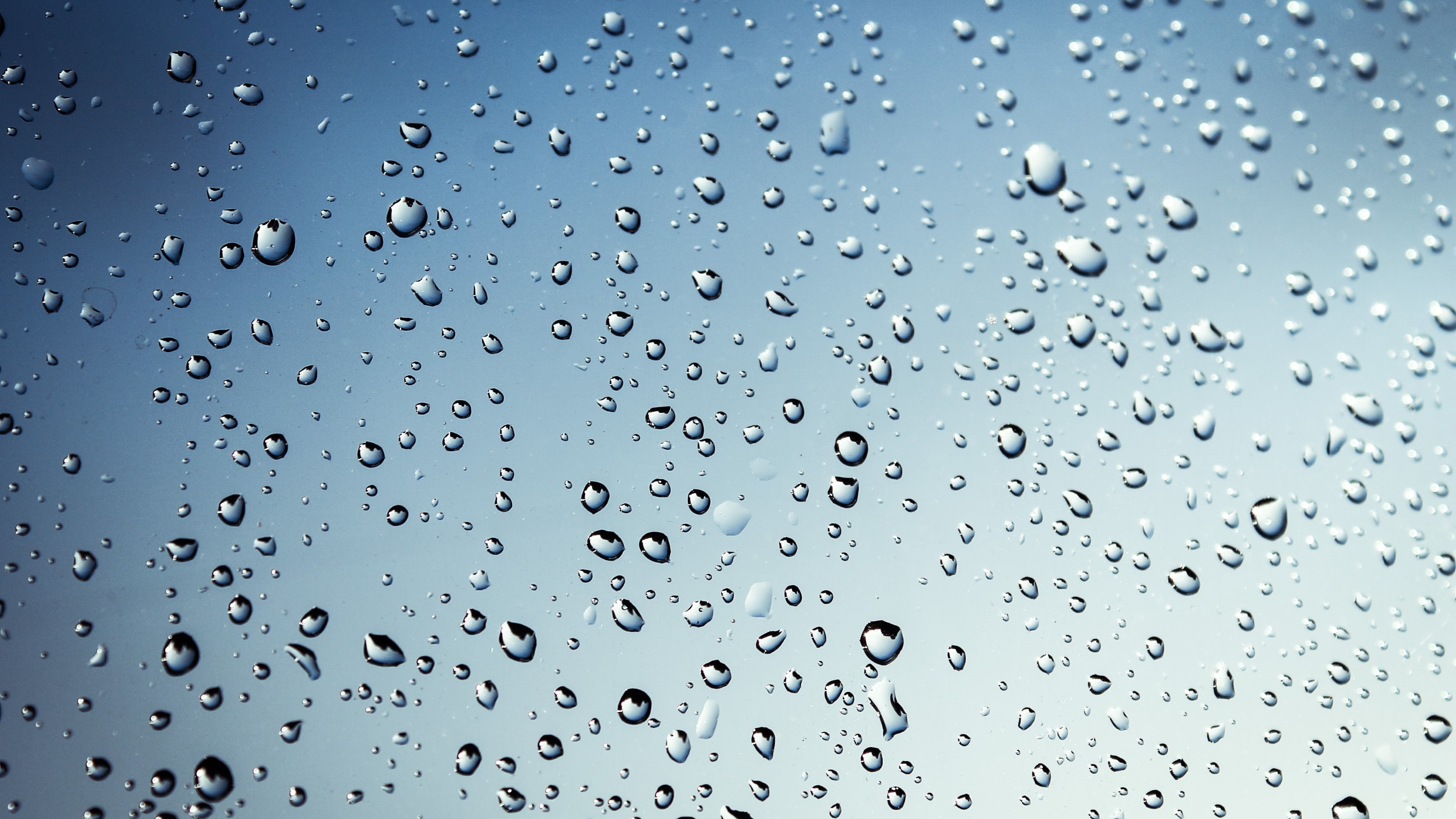 Rain Drops Wallpaper