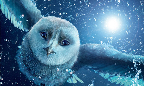 Blue Owl Wallpaper Wide HD