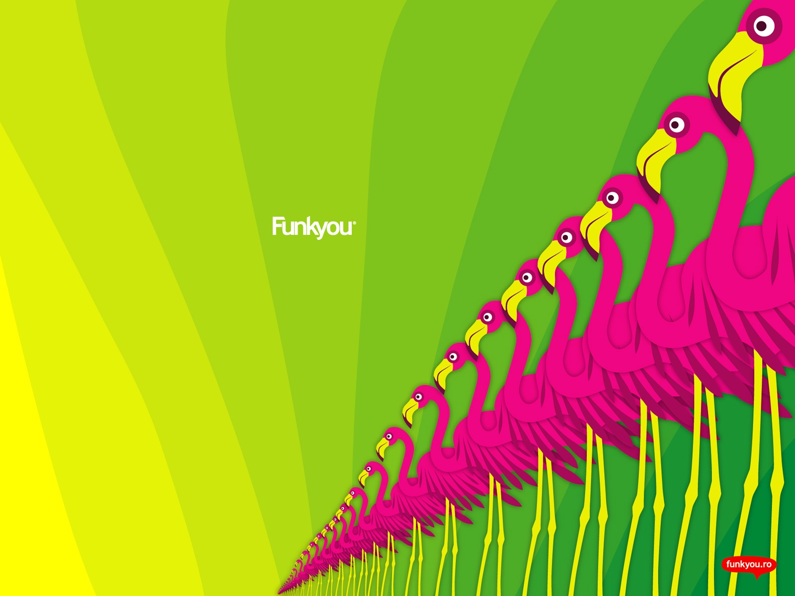 Back Gallery For Desktop Flamingo Wallpaper