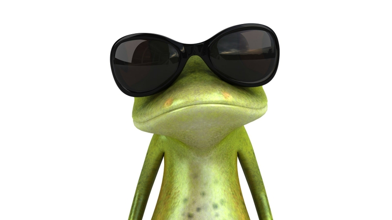 Glasses Sunglasses Frogs Wallpaper Animals HD