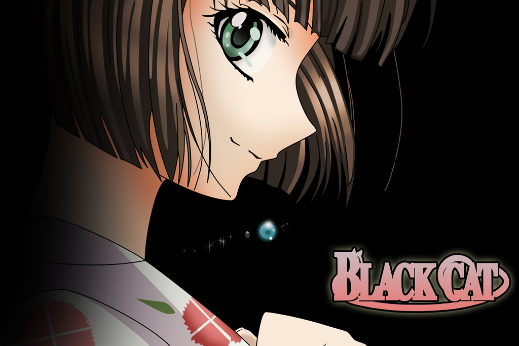 Saya Minatsuki Black Cat Series Zerochan Anime Image Board