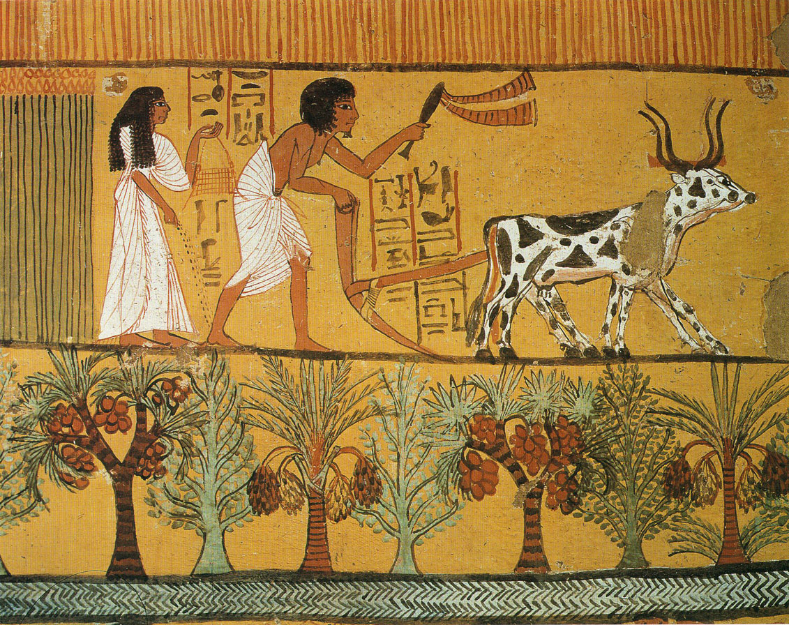 Egyptian Wallpaper Murals HD Background