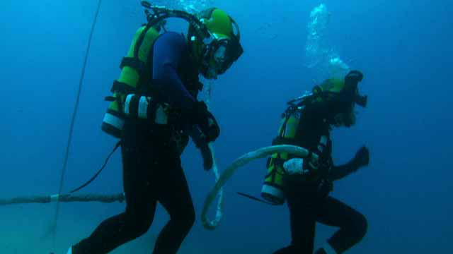 Navy Diver For