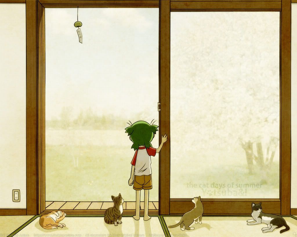 The Quiet Cat Days Of Summer Wallpaper Background