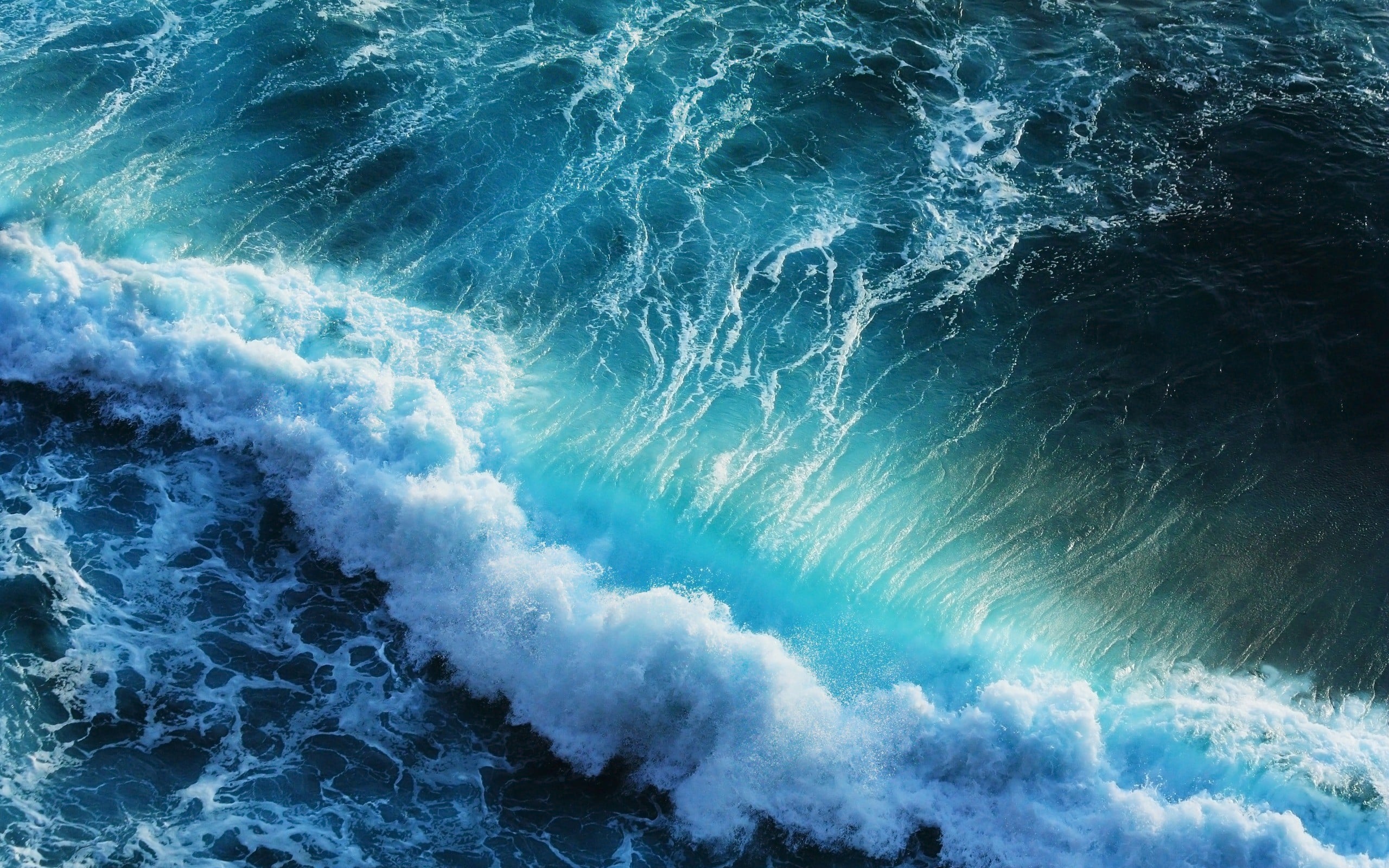 A powerful ocean wave crashes in the deep blue sea, creating white foam and ripples