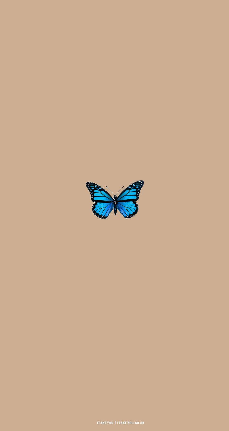 Cute Brown Aesthetic Wallpaper For Phone Blue Butterfly