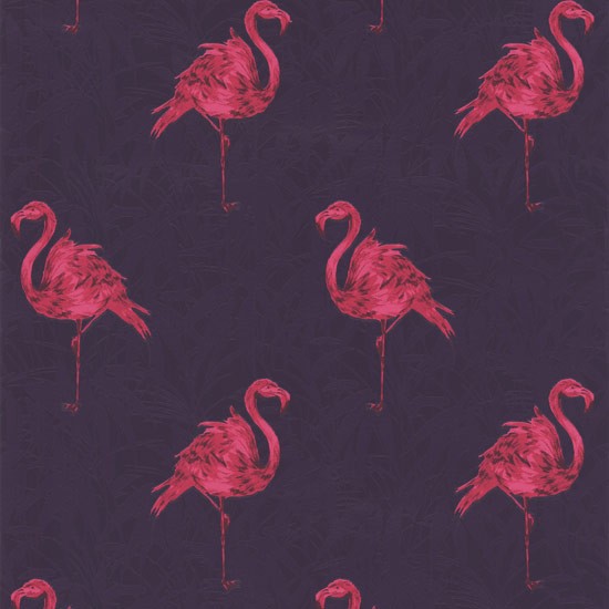 Contour Flamingo Wallpaper From Wilkinson Best Feature