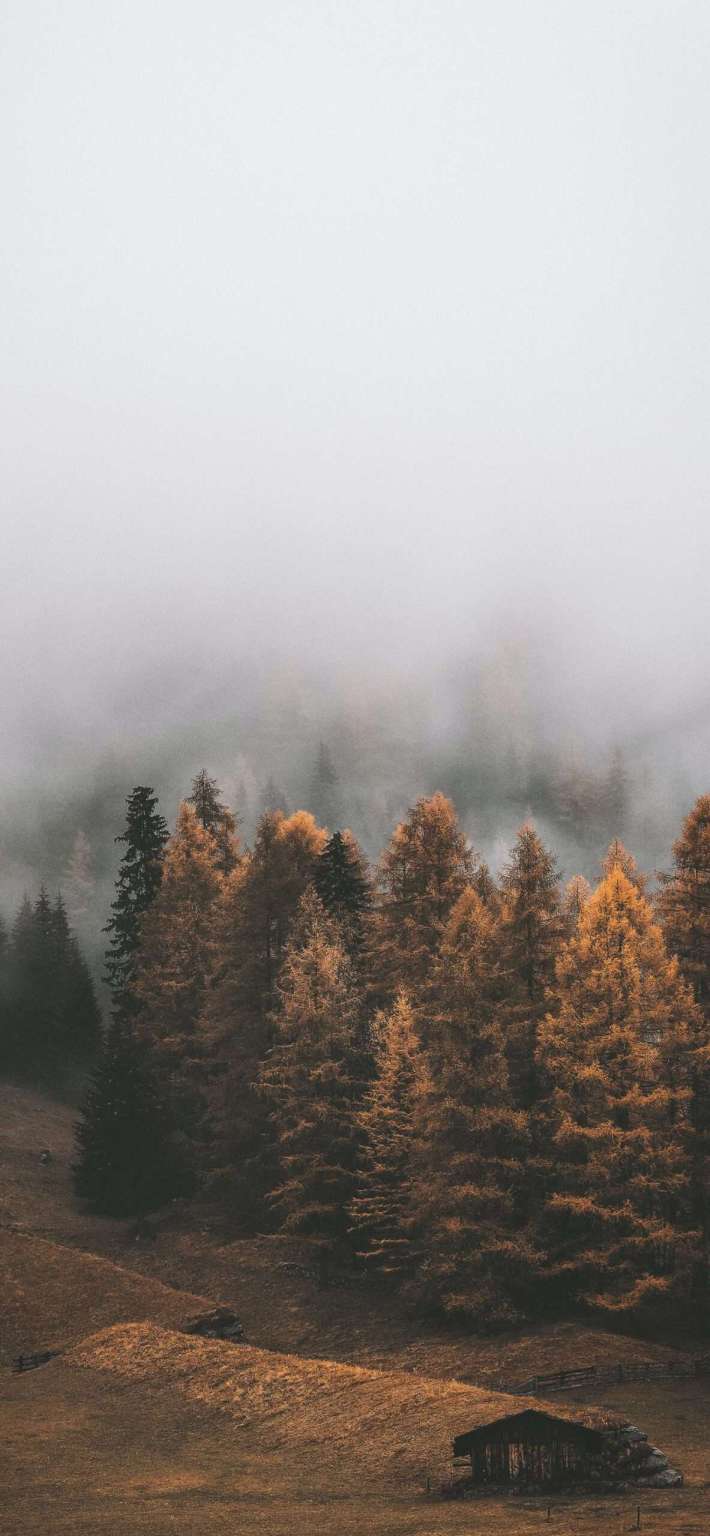 Beautiful Fall Wallpaper For iPhone May The Ray