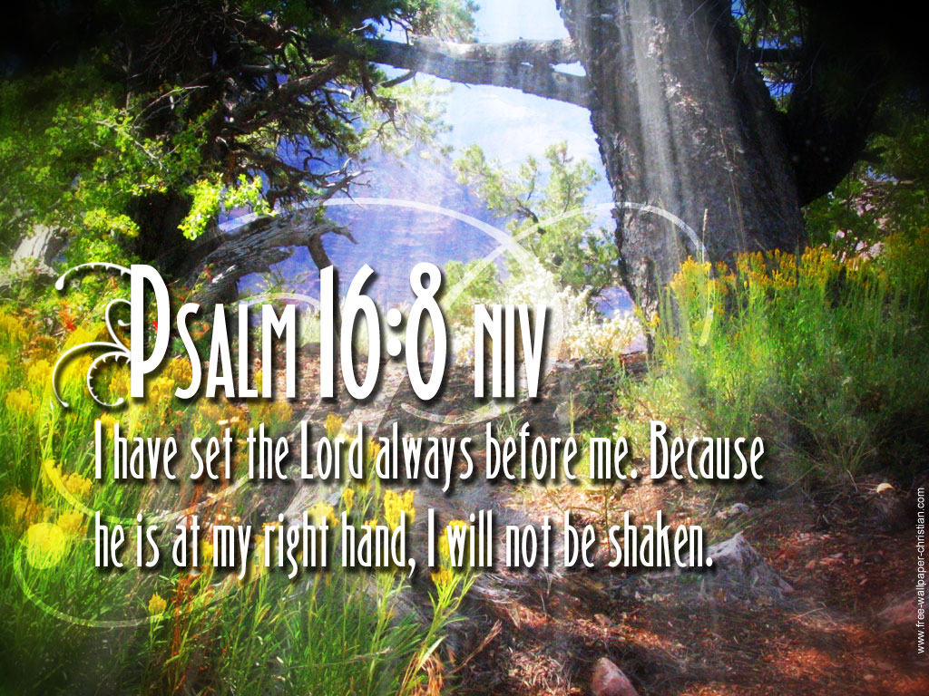 Psalm 168   I Will Not Be Shaken Wallpaper   Christian Wallpapers 1024x768