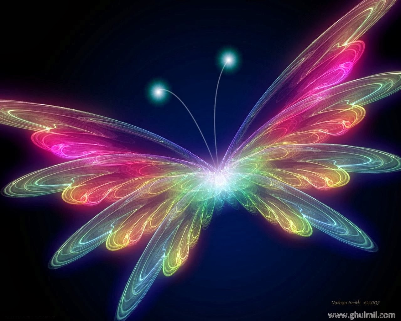 Live Butterfly Wallpaper Beautiful Desktop