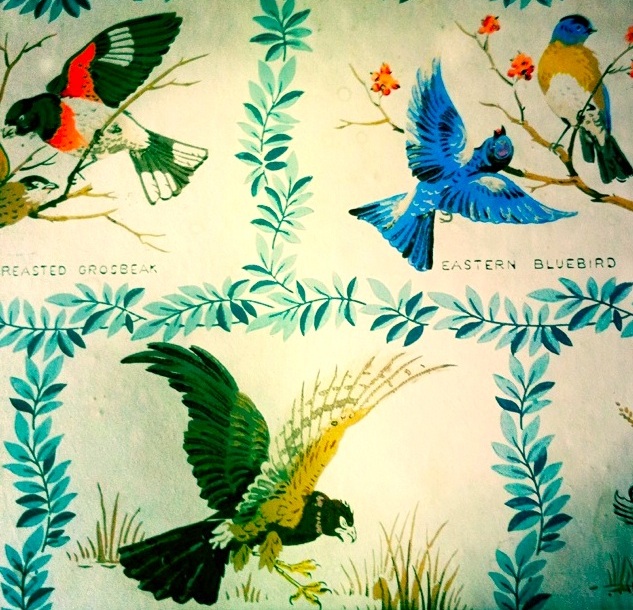 Is Approaching 1960s Vintage Bird Wallpaper Thuy Tien Crampton