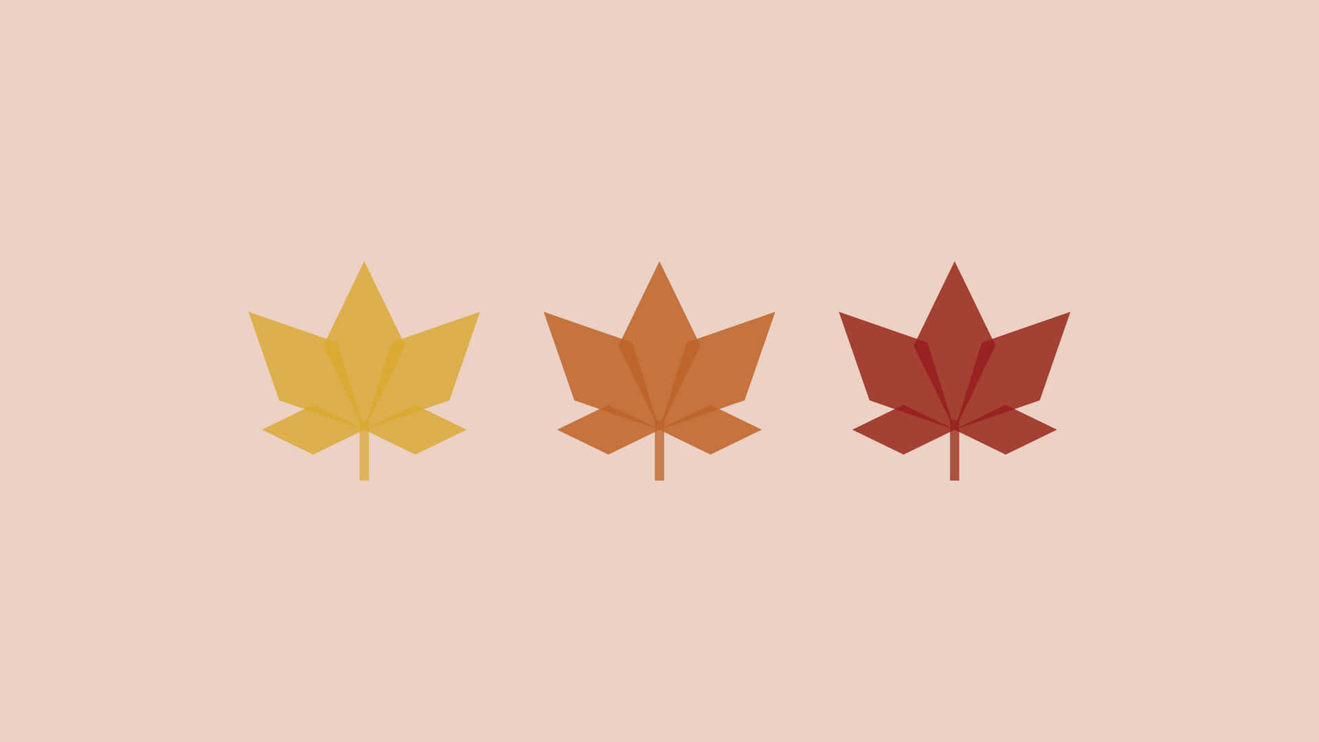 Illuminate The Autumn With Minimalism Wallpaper