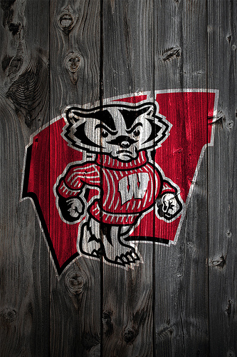 Wisconsin Badgers Wood iPhone 4 Background Flickr   Photo Sharing 333x500