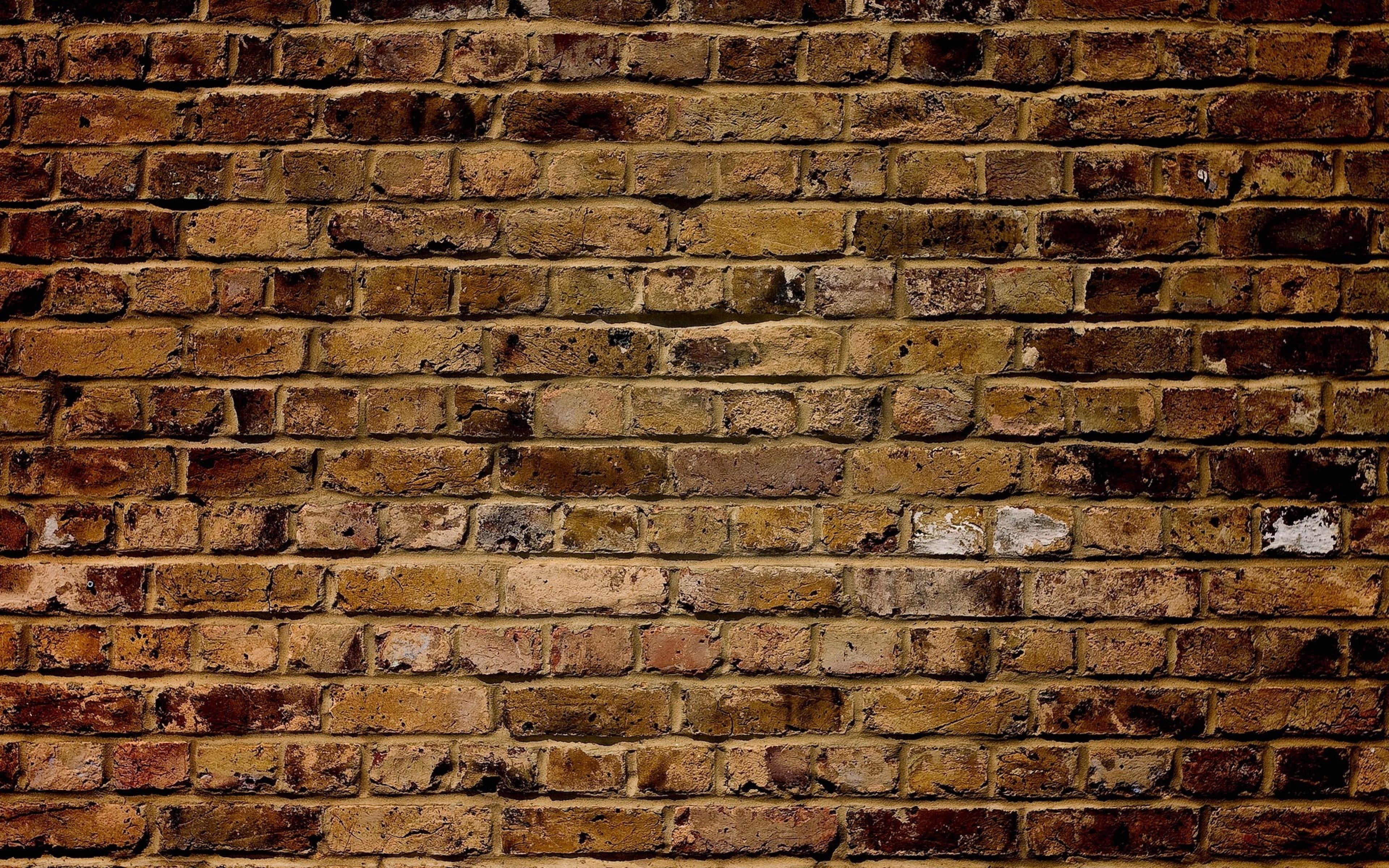 Kakaru On Pint Brick Wall Wallpaper