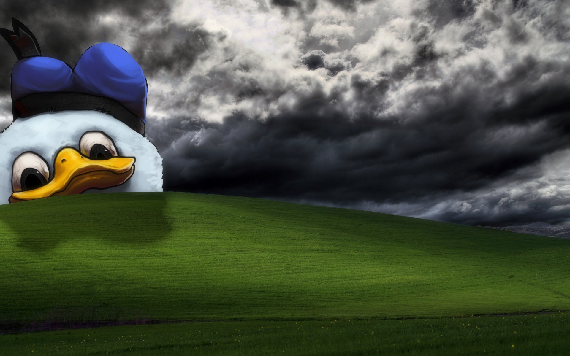 Dolan Wallpaper Posted By Ryan Sellers