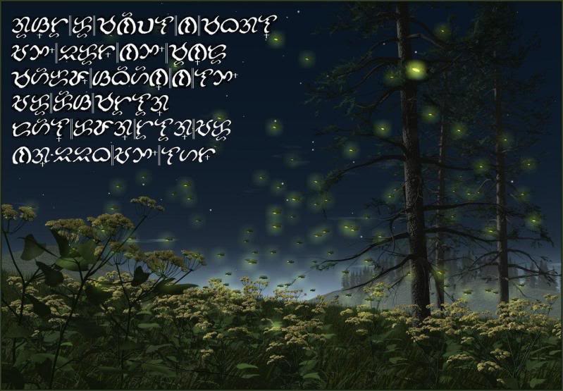 Fireflies Wallpaper Quotes