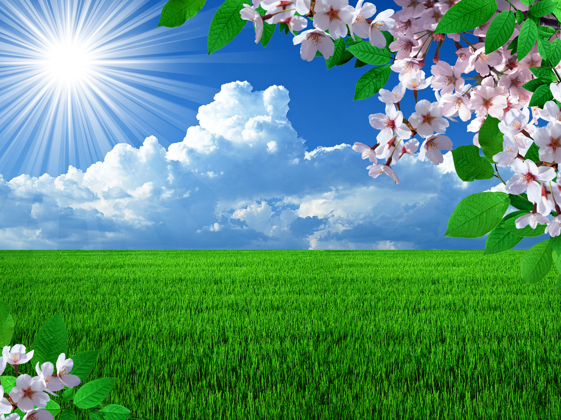 Spring Wallpaper For Pc On