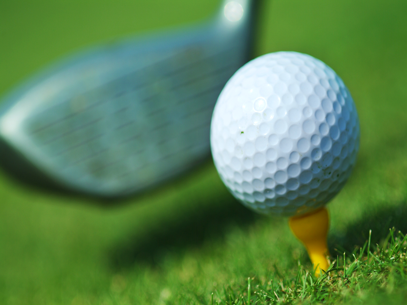 Masters Golf Tournament Live Puter Desktop Wallpaper