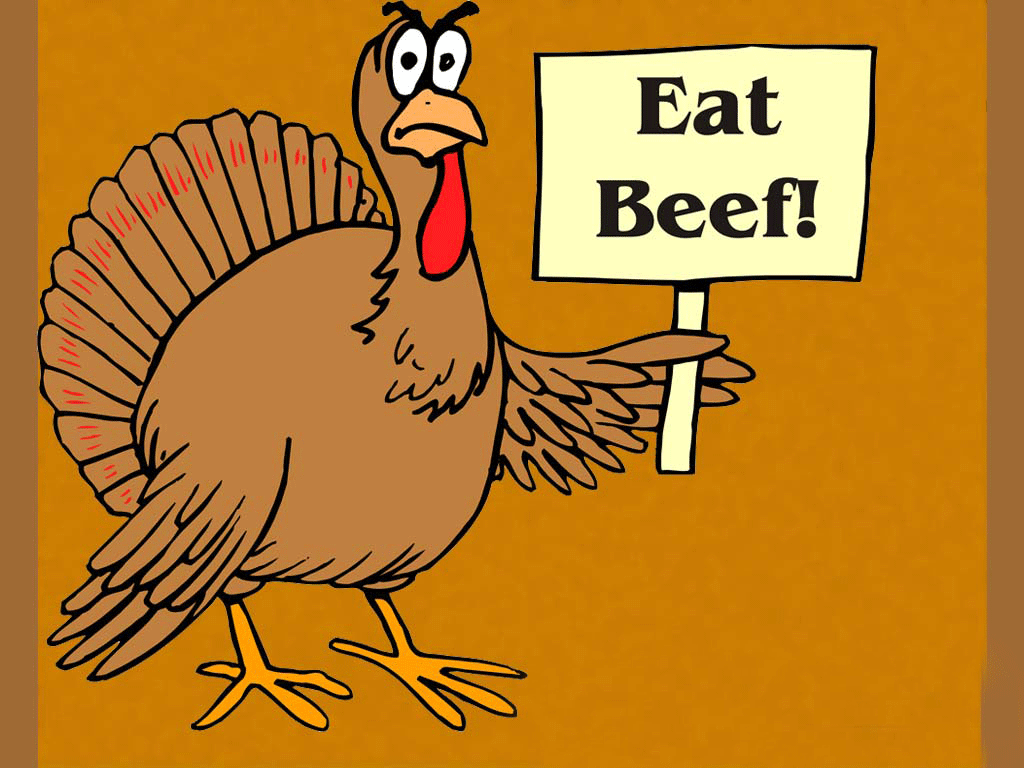 Funny Turkey Happy Thanksgiving Wallpaper Top