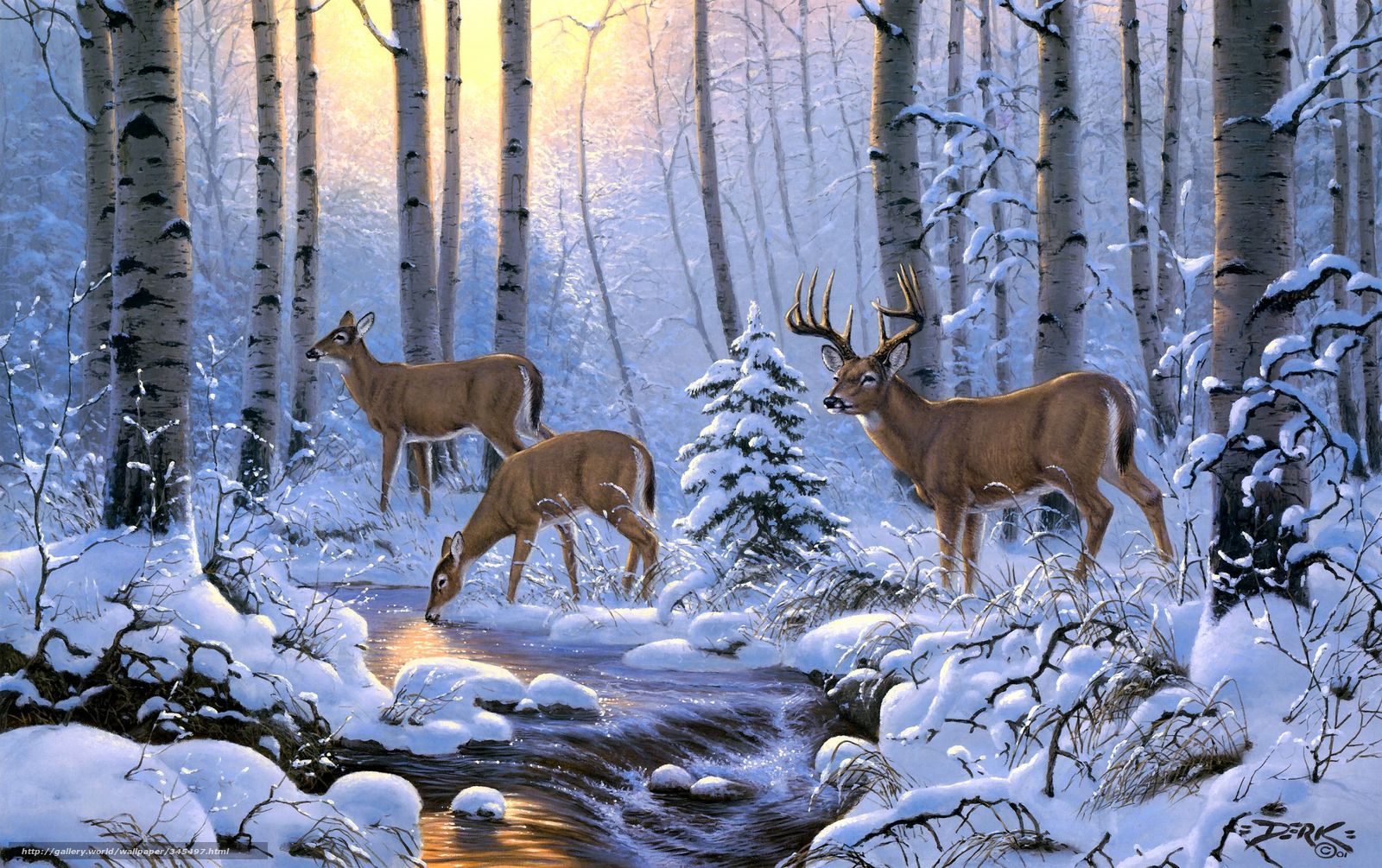 wallpaper derk hansen deer Winter forest free desktop wallpaper