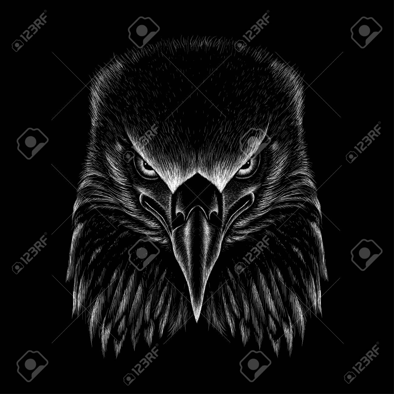 The Vector Eagle For T Shirt Design Or Outwear Hunting Style