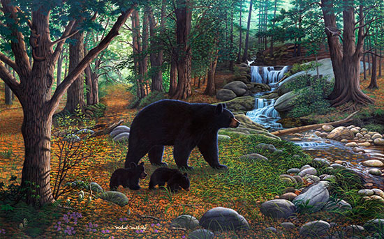 Wildlife Murals Wild Animal Scene Wallpaper