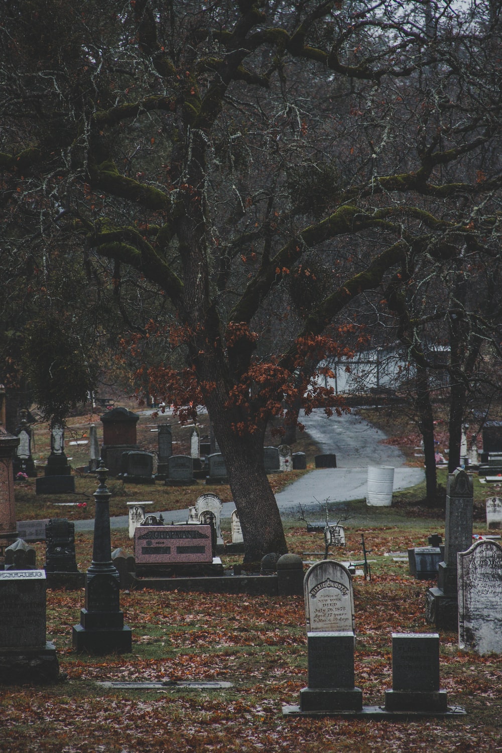 750 Graveyard Pictures Download Free Images on