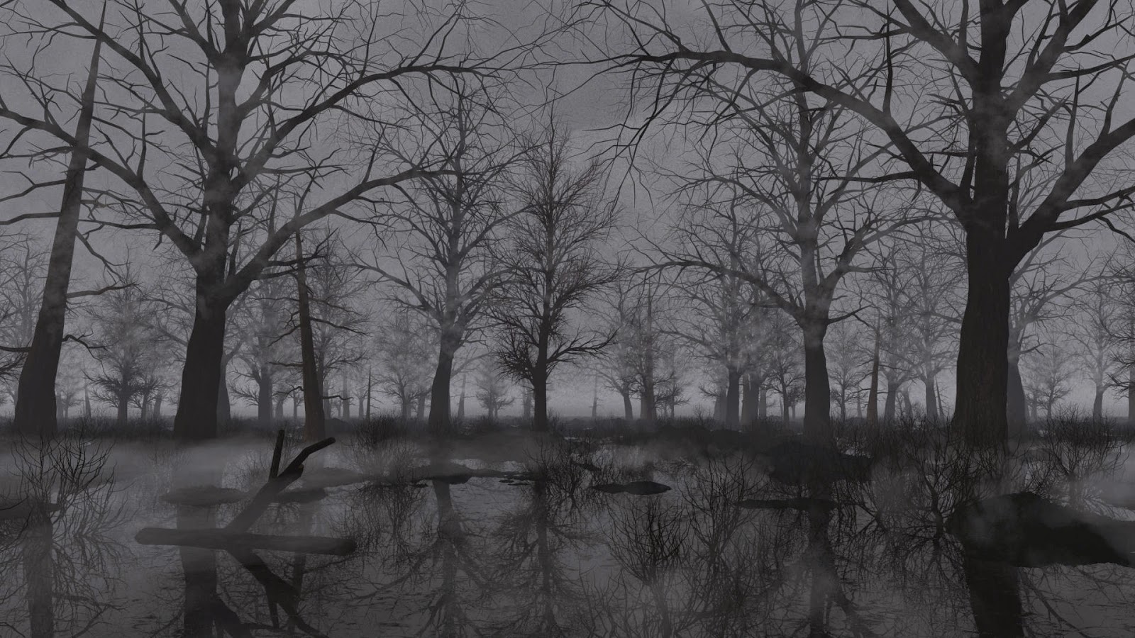 Dark Swamp HD Wallpaper Background Of Your Choice
