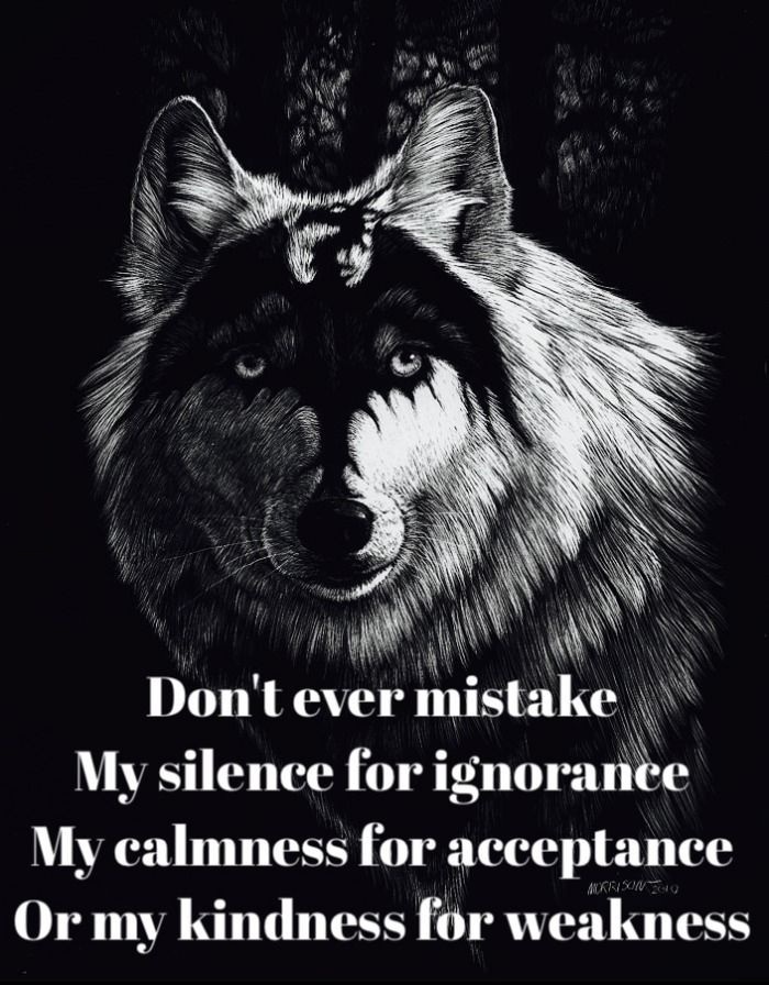 Don T Ever Mistake Wise Wolf Funny Image Photos Pictures