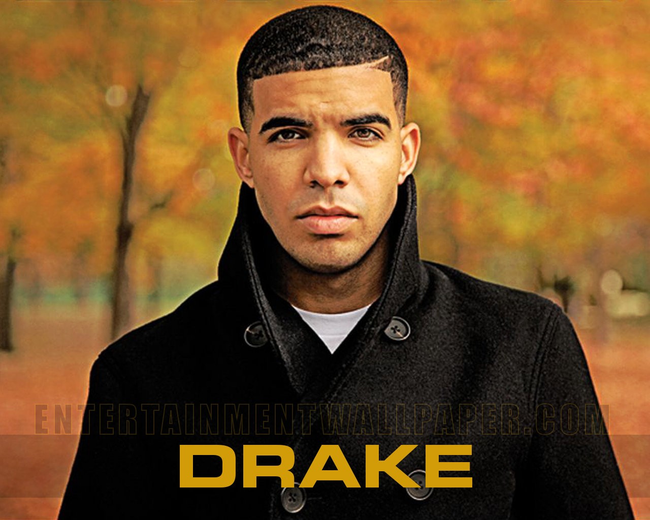 Drake Wallpaper 10jpg