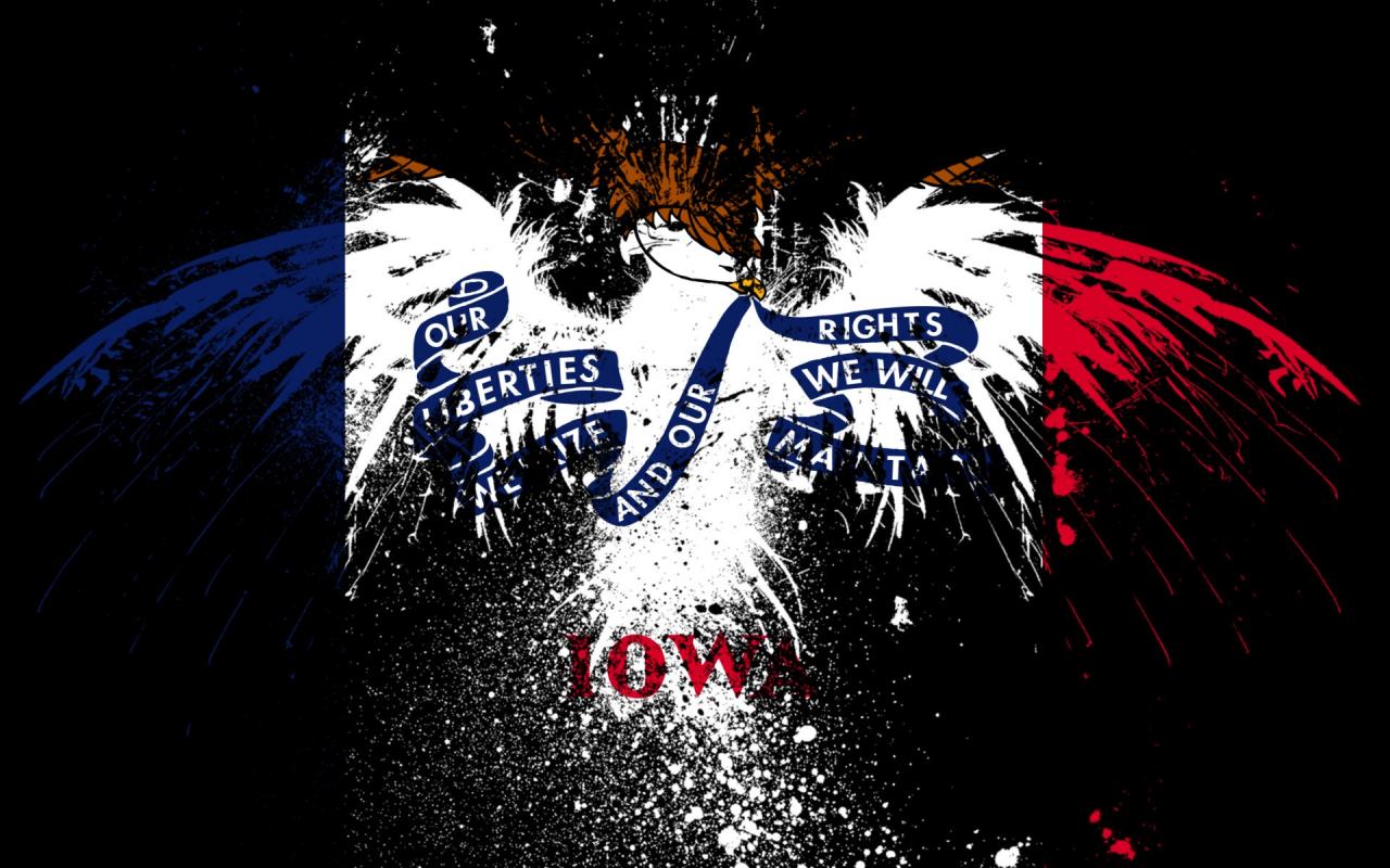 Eagles Hawk Flags Usa Iowa State Wallpaper