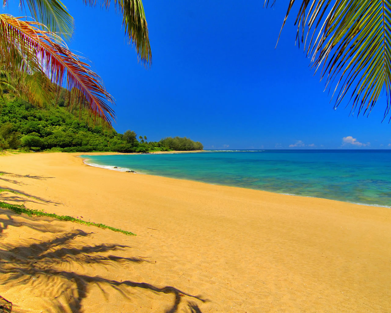 summer beach scenes wallpaper With Resolutions 12801024 Pixel 1280x1024