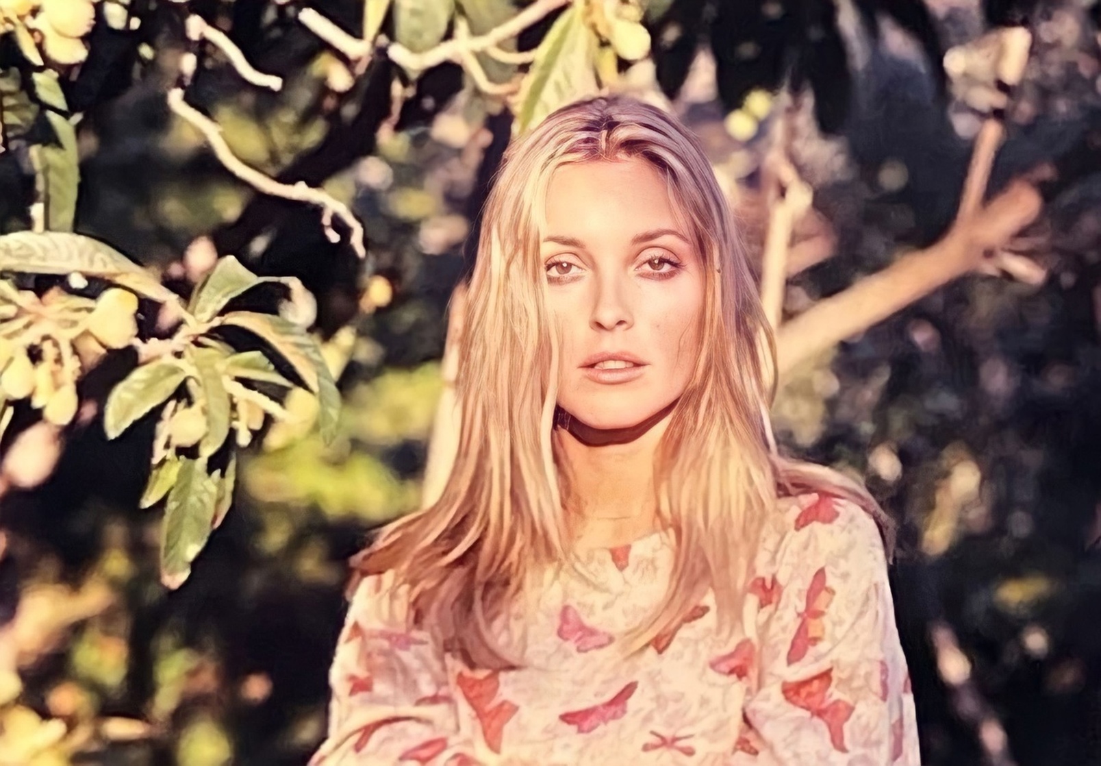 Sharon Tate Image Wallpaper