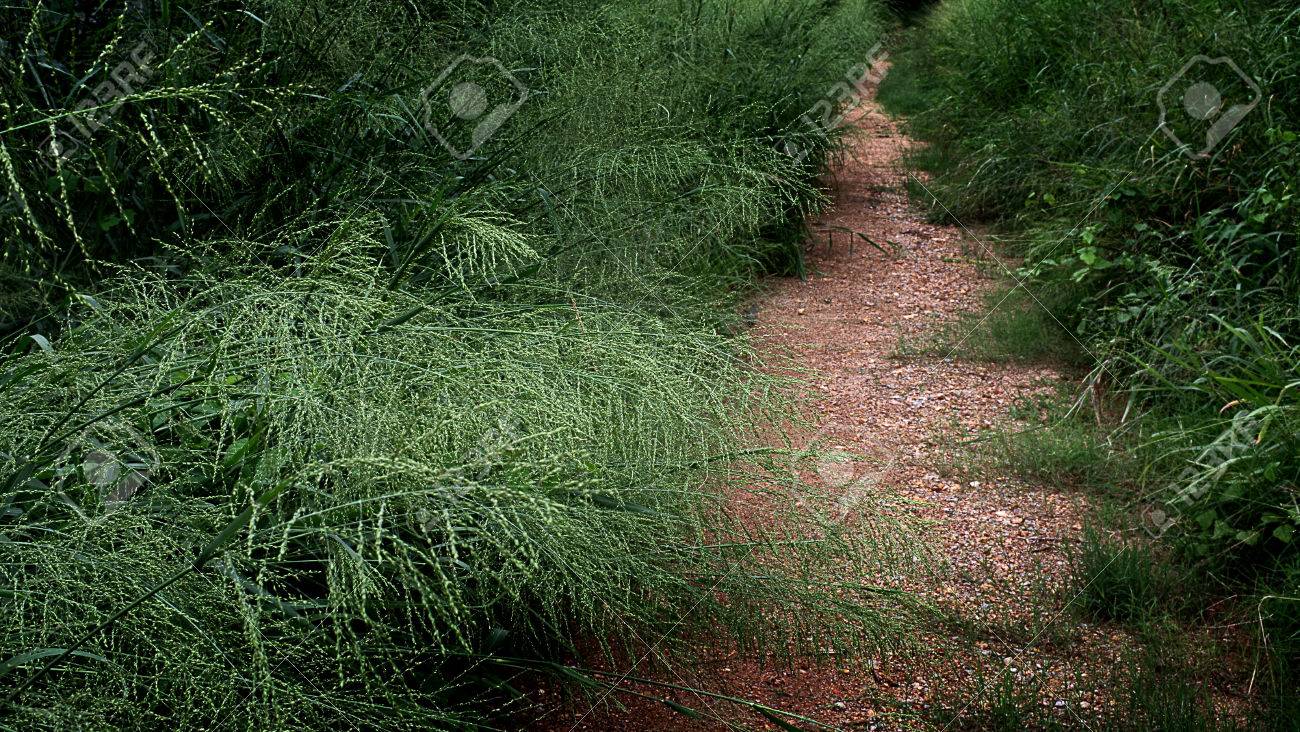 Free download Backcountry Road Background Stock Photo Picture And