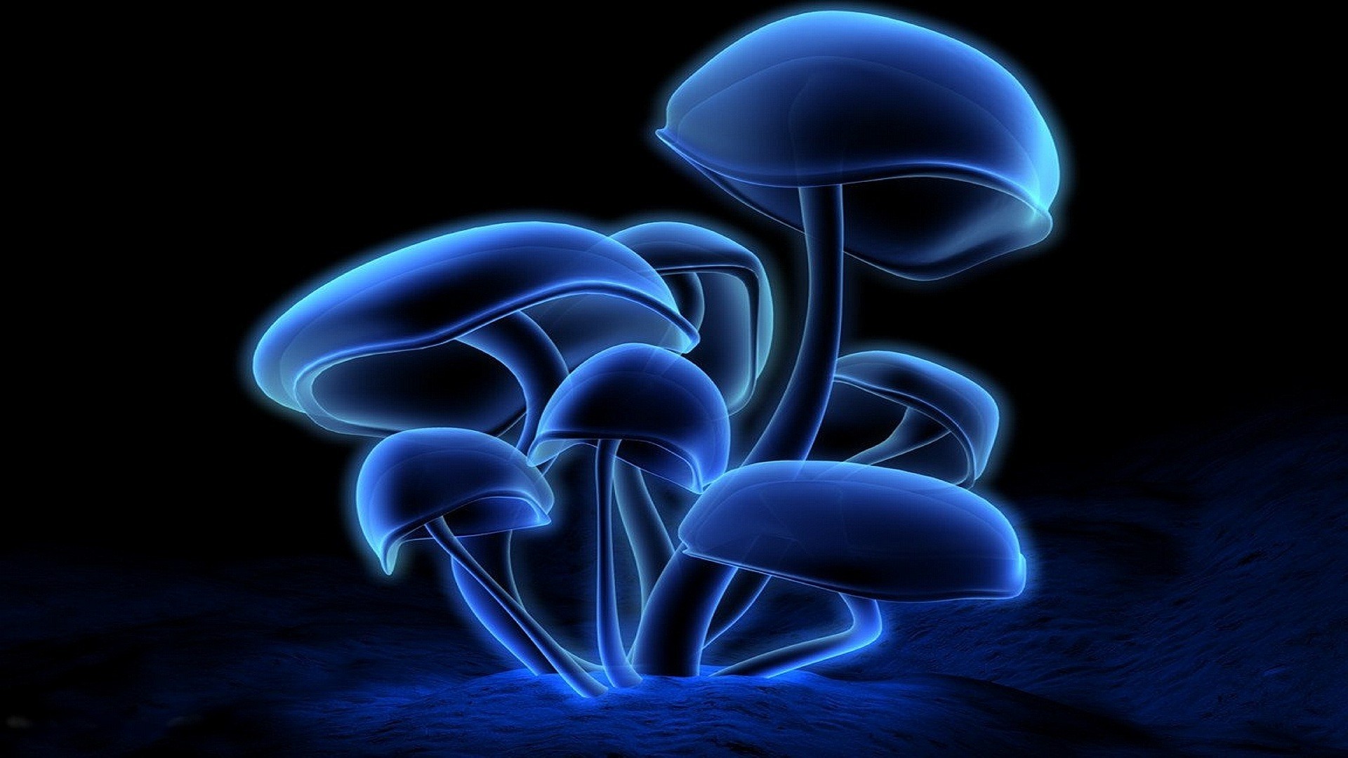Neon Glowing Mushrooms Wallpaper