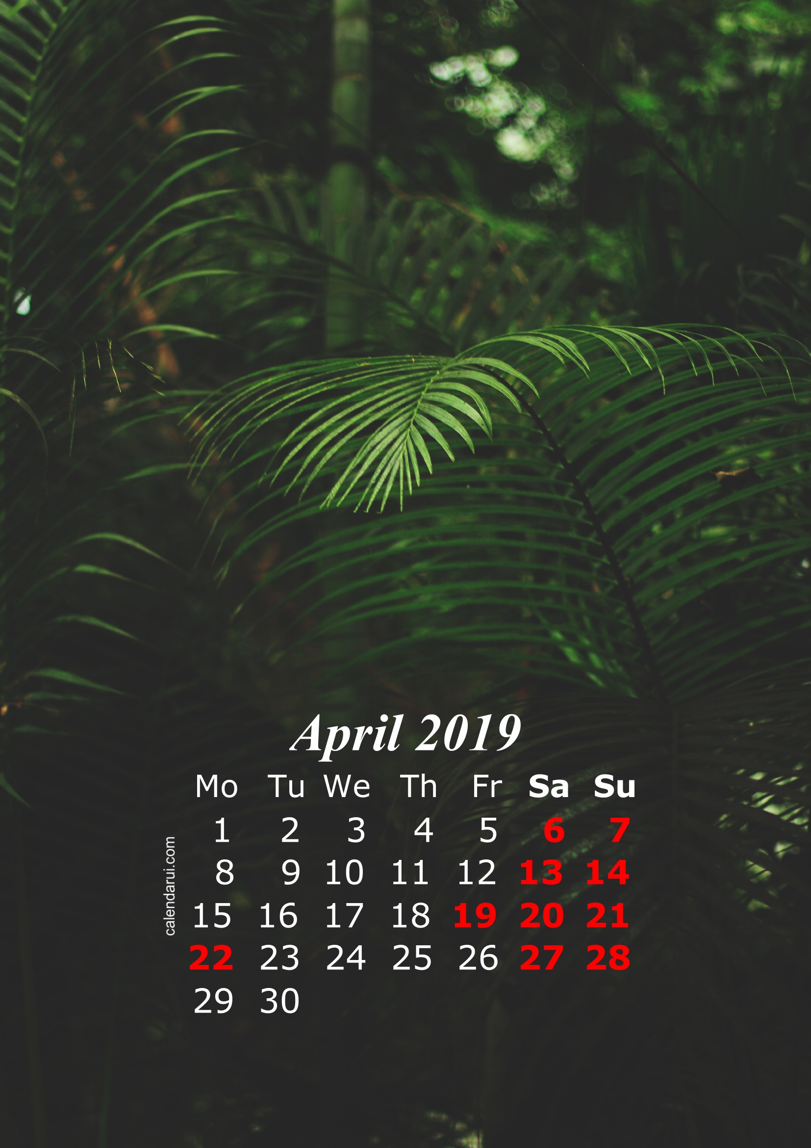 2019 Calendar Iphone Wallpaper HD Calendar Template Printable