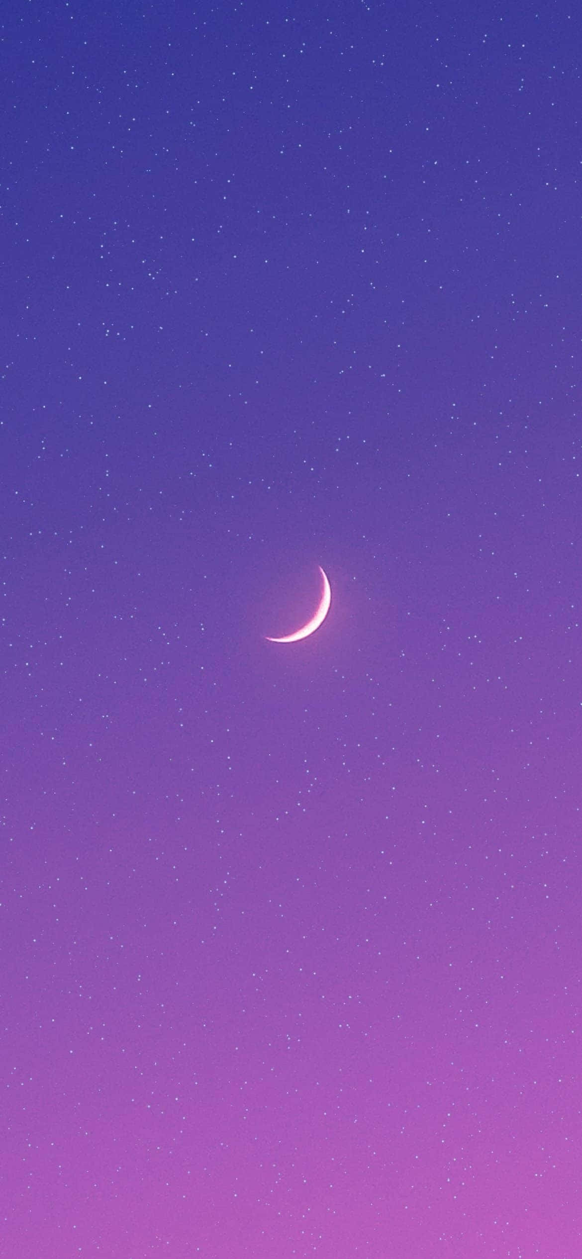 Captivating Purple Phone Wallpaper