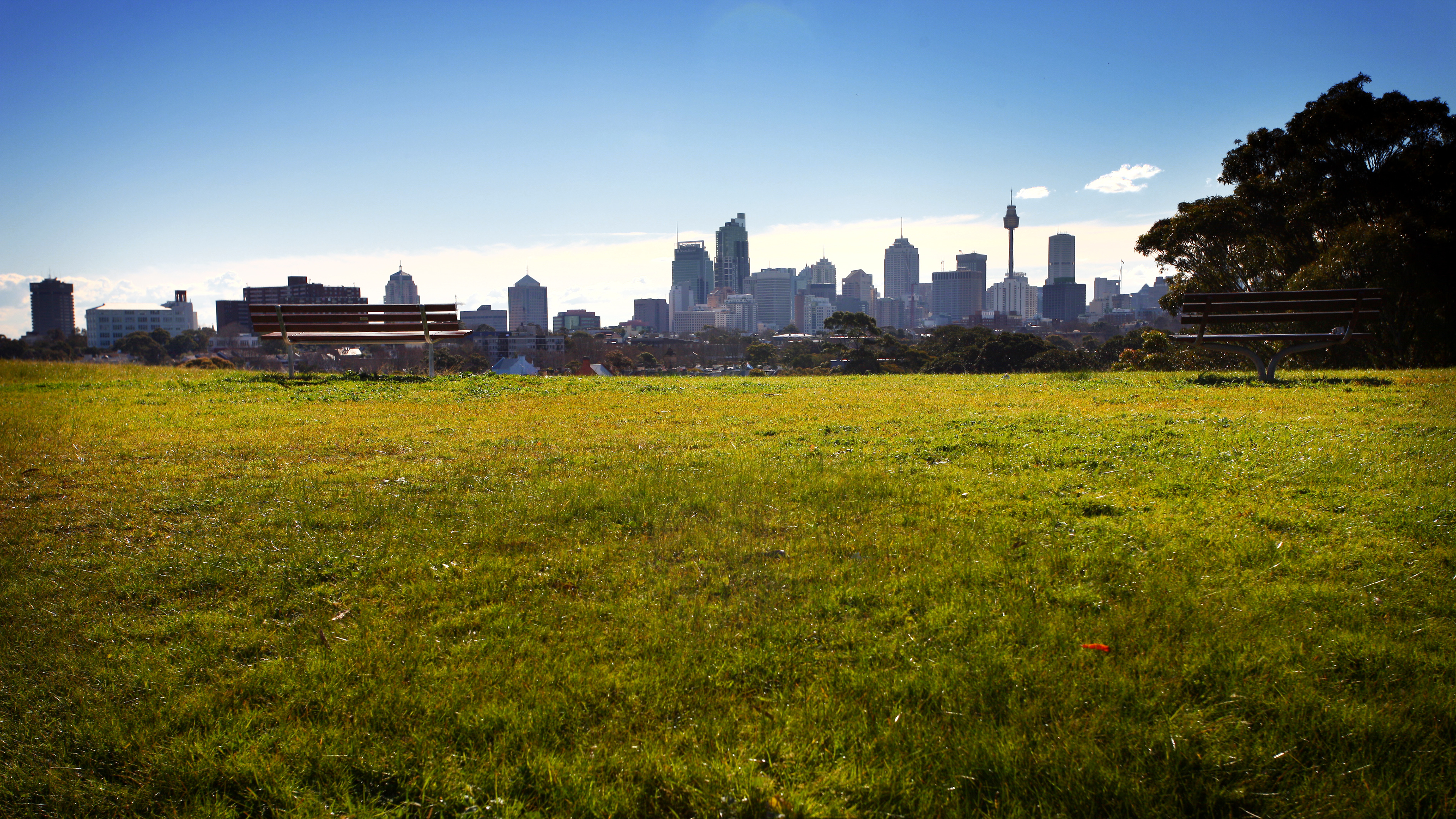 Eastern Suburbs Of Sydney Overseeing City By Christopher Leow